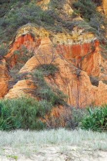 Nicky Dowling Landscapes Gallery: Coloured Sand of Fraser Island