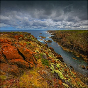 The copperhead cliffs on the South Western corner of King Island are isolated, rugged and extremely steep. Bass Strait, Tasmania The copperhead cliffs on the South Western corner of King Island are isolated, rugged and extremely steep. Bass Strait, Tasmania