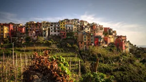 Corniglia colourful old town on cliff sunset view Corniglia colourful old town on cliff sunset view