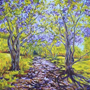 Country Lane with Avenue of Flowering Jacaranda Trees Country Lane with Avenue of Flowering Jacaranda Trees
