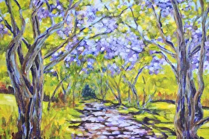 Country Lane with Avenue of Flowering Jacaranda Trees Country Lane with Avenue of Flowering Jacaranda Trees