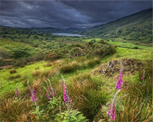 Countryside farming view within the Snowdonia National Park in northern Wales, United Kingdom Countryside farming view within the Snowdonia National Park in northern Wales, United Kingdom