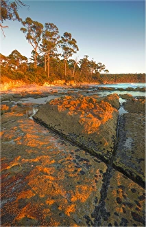 Dawn at Adventure Bay, South Bruny Island, Tasmania Dawn at Adventure Bay, South Bruny Island, Tasmania