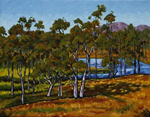 Dry Australian Countryside with Dam and Lush Grasses Oil Painting Dry Australian Countryside with Dam and Lush Grasses Oil Painting