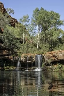 Images Dated 1st March 2014: Fern Pool Karijini National Park