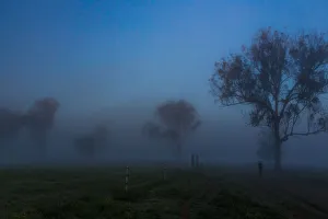 Foggy country road in the early morning, the Scenic Rim Region, Queensland, Australia Foggy country road in the early morning, the Scenic Rim Region, Queensland, Australia