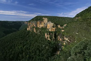 Forested Mountains and Falls