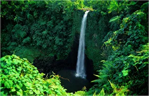 Fuipusia waterfall, The Island of Upolu, Western Samoa Fuipusia waterfall, The Island of Upolu, Western Samoa