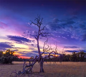 Grampians dawn skies from Pomonal, near Hall's Gap, Victoria Grampians dawn skies from Pomonal, near Hall's Gap, Victoria