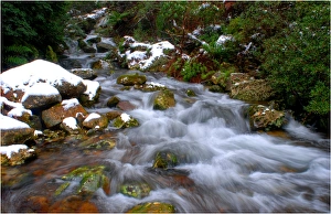 Gullet falls, near Mount Roland, Central Tasmania Gullet falls, near Mount Roland, Central Tasmania