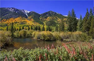 Gunnison Autumn colours, Colorado, south western United States of America Gunnison Autumn colours, Colorado, south western United States of America