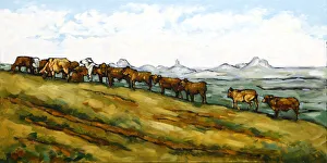 Herd of Bulls on a Hillside with Glass House Mountains in Distance Oil Painting Herd of Bulls on a Hillside with Glass House Mountains in Distance Oil Painting