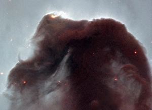 Horsehead Nebula; Looking like an apparition rising from whitecaps of interstellar foam Horsehead Nebula; Looking like an apparition rising from whitecaps of interstellar foam