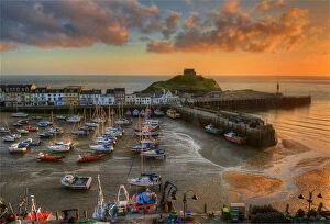 Trawler Collection: Ilfracombe Harbour at Dawn