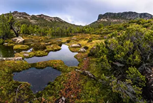 King Davis Peak and Mount Ophel in Walls of Jerusalem National Park, Tasmania in Walls of Jerusalem National Park King Davis Peak and Mount Ophel in Walls of Jerusalem National Park, Tasmania in Walls of Jerusalem National Park
