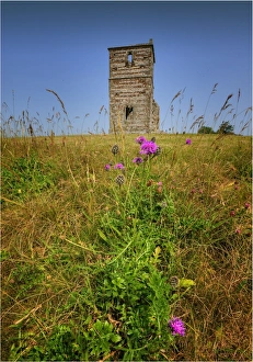 Knowlton historic church and neolithic henge mound, Dorset , England Knowlton historic church and neolithic henge mound, Dorset , England