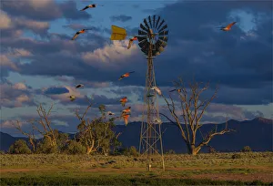 Late afternoon light at a remote agricultural windmill in outback South Australia Late afternoon light at a remote agricultural windmill in outback South Australia