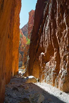 Light enters narrow Stanley Chasm, Australia Light enters narrow Stanley Chasm, Australia