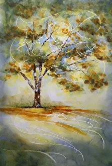 Liquid Amber Tree in Autumn Backlit by Morning Sunshine Watercolor Painting Liquid Amber Tree in Autumn Backlit by Morning Sunshine Watercolor Painting