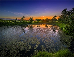 The lovely wetlands at Hidden Grove, Keysborough South, Melbourne, Victoria, Australia The lovely wetlands at Hidden Grove, Keysborough South, Melbourne, Victoria, Australia