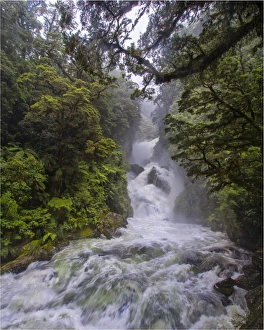 Mackay falls after a sudden downpour on the Milford track, Fiordland national park Mackay falls after a sudden downpour on the Milford track, Fiordland national park