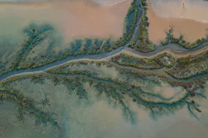 Aerial Views Gallery: Mangrove Aerial