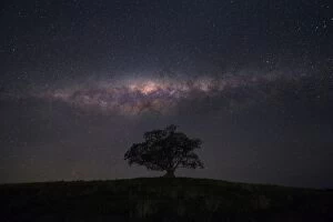 Images Dated 27th April 2014: milkyway above tree