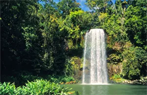 Millea Millea falls, north Queensland, Australia Millea Millea falls, north Queensland, Australia