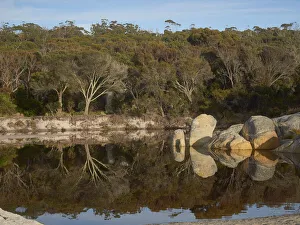 Mirror reflections on Beach lagoon in Tasmania Mirror reflections on Beach lagoon in Tasmania