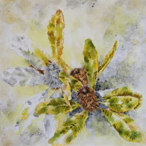 Mixed Media Painting of Australian Spent Banksia Flowers Mixed Media Painting of Australian Spent Banksia Flowers
