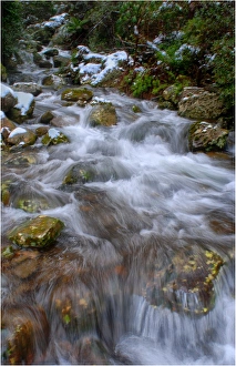 Mountain stream, Mount Roland, in the island state, Tasmania, Australia Mountain stream, Mount Roland, in the island state, Tasmania, Australia