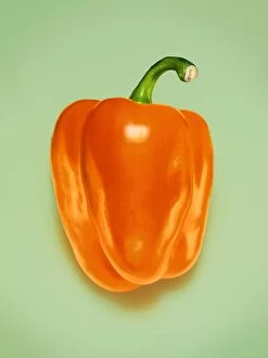 Images Dated 11th August 2014: Orange Pepper