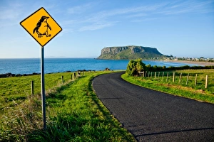 Penguin warning sign. The Nut. Stanley. Tasmania Penguin warning sign. The Nut. Stanley. Tasmania