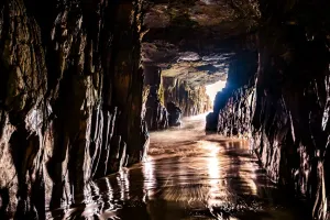 Tunnel Prints: Remarkable Cave Print, Tasman Peninsula Landscape