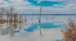 Donald Campbell Prints: Lake Dumbleyung Early Morning Water Reflections Print