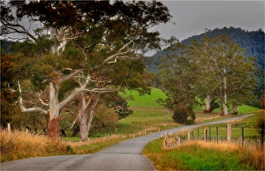Pyangana road in the island state, Tasmania, Australia Pyangana road in the island state, Tasmania, Australia