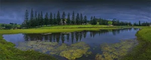 Reflections in standing water on the Kingston common, Norfolk Island, south pacific ocean Reflections in standing water on the Kingston common, Norfolk Island, south pacific ocean