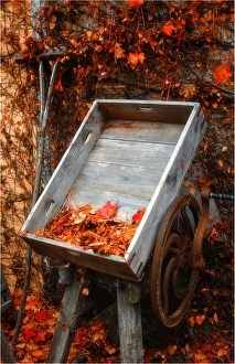 The rich hues and colours of autumn in Central Victoria The rich hues and colours of autumn in Central Victoria