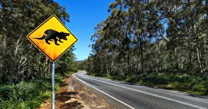 Road Sign of Tasmania Devil Crossing in Hobart, Eaglehawk Neck, Tasmania, Australia Road Sign of Tasmania Devil Crossing in Hobart, Eaglehawk Neck, Tasmania, Australia