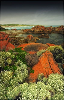 Rock formations, Disappointment bay, King Island Bass Strait, Tasmania, Australia Rock formations, Disappointment bay, King Island Bass Strait, Tasmania, Australia