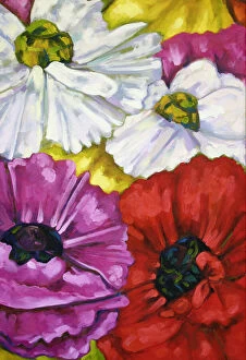 Images Dated 17th July 2013: Rununculus Flowers Oil Painting