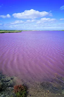 Saline pink lake of Coorong, South Australia Saline pink lake of Coorong, South Australia
