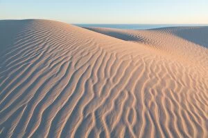 Sand dunes. Eyre Peninsula. South Australia