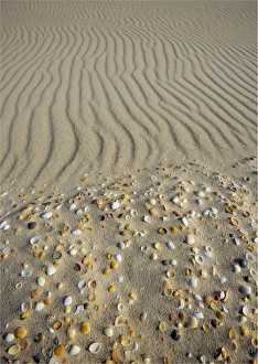 Sand patterns on the beach, King Island Bass Strait, Tasmania, Australia Sand patterns on the beach, King Island Bass Strait, Tasmania, Australia