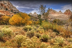 A scenic view at Capital Reef National Park in Utah, western United States A scenic view at Capital Reef National Park in Utah, western United States