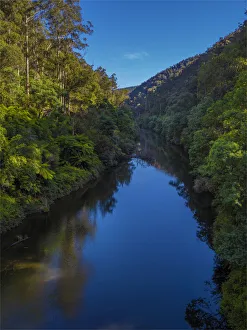 A scenic view of the Thomson river, Central Gippsland, Victoria A scenic view of the Thomson river, Central Gippsland, Victoria