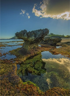 A shoreline view of the remmants of coral outcrops on the coastline of Slaughter bay at Kingston, Norfolk Island A shoreline view of the remmants of coral outcrops on the coastline of Slaughter bay at Kingston, Norfolk Island