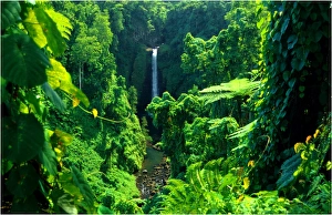 Sopuaga waterfall, The Island of Upolu, Western Samoa Sopuaga waterfall, The Island of Upolu, Western Samoa