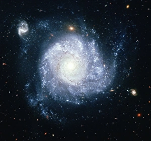 <b class=qtipBold><figcaption>Spiral galaxy (NGC 1309)</figcaption></b><br>Taken by NASA's Hubble Space Telescope. A gorgeous spiral galaxy some 100 million light-years distant, NGC 1309 lies on the banks of the constellation of the River (Eridanus). NGC 1309 spans about 30, 000 light-years, making it about one third the size of our larger Milky Way galaxy. Bluish clusters of young stars and dust lanes are seen to trace out NGC 1309's spiral arms as they wind around an older yellowish star population at its core.<br><em>© Stocktrek</em> Spiral galaxy (NGC 1309)