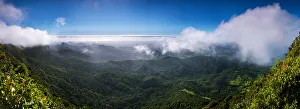 Springbrook national park, Gold Coast Springbrook national park, Gold Coast